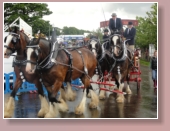 Royal Highland Show
