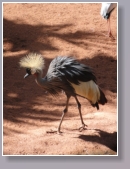 Fuengirola - Biopark 