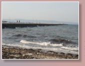 Sommer at Newhaven Beach