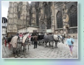 Fiaker in Wien
