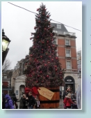 Covert Garden Christmas Tree